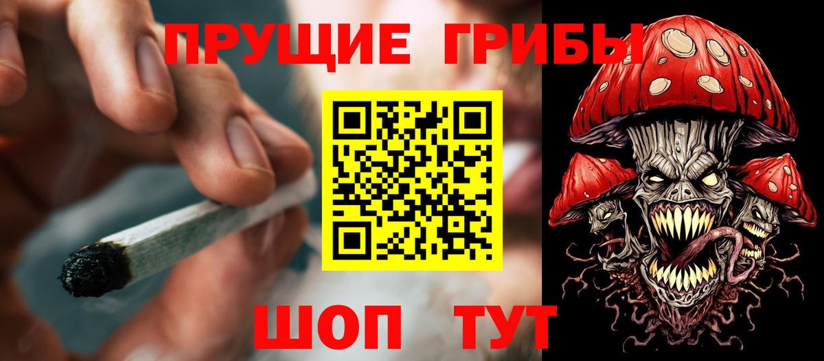 купить закладку  Вход с VPN  Киреевск  Галлюциногенные грибы Cubensis  Галлюциногенные грибы MAGIC MUSHROOMS 
