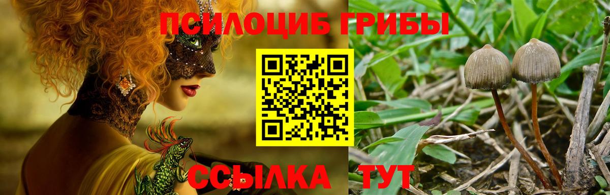 Галлюциногенные грибы MAGIC MUSHROOMS Киреевск
